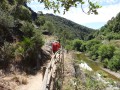 10.06.2016 Baghdad HHH_Benahavis_Spain  (84)