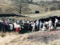 Bolton_0014C